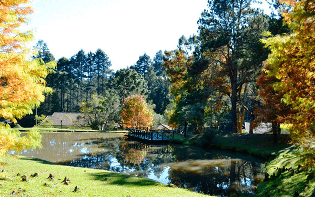 Passeios em Campos do Jordão Para Você e Sua Família