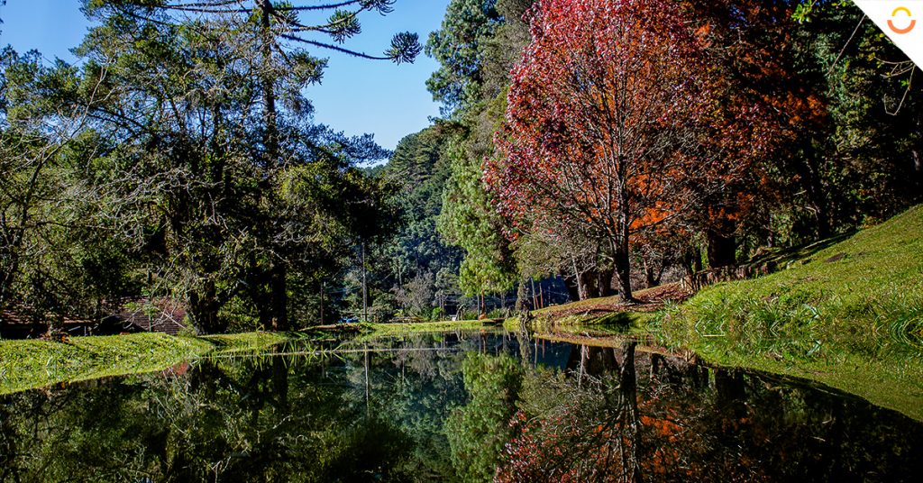Feriado em Campos do Jordão: Planeje a Sua Viagem em 2020