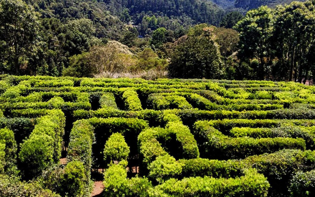 Tudo Sobre o Belíssimo Parque Amantikir – Jardins que falam