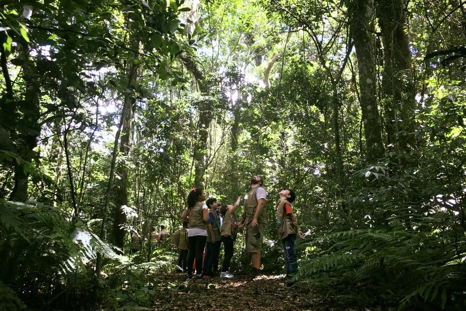 Principais Benefícios de Estar em Contato Com a Natureza